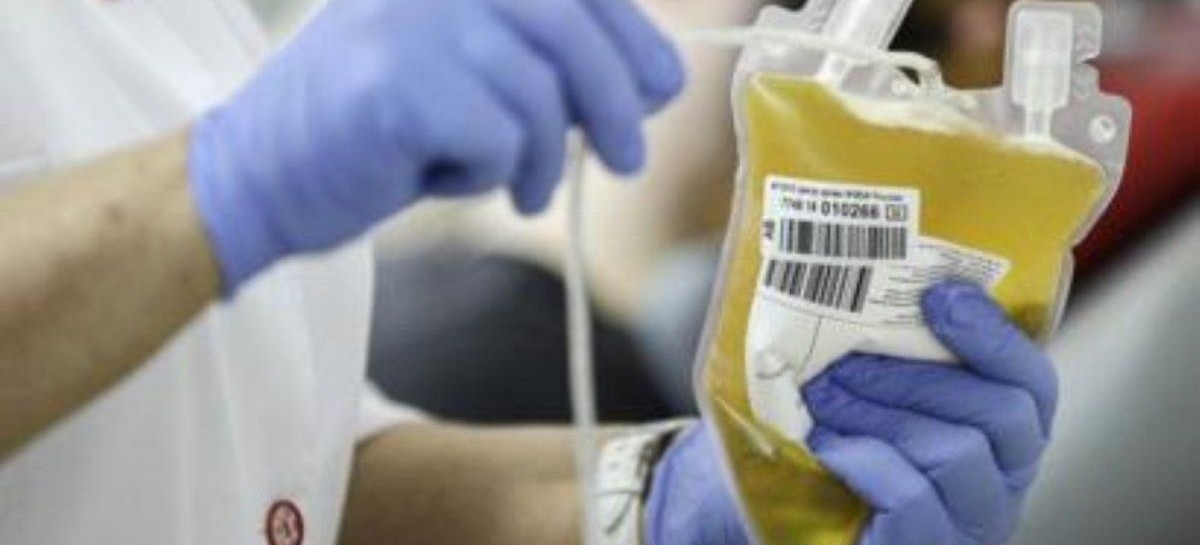 Donación de plasma o sangre: no son impedimentos la identidad de género u orientación sexual