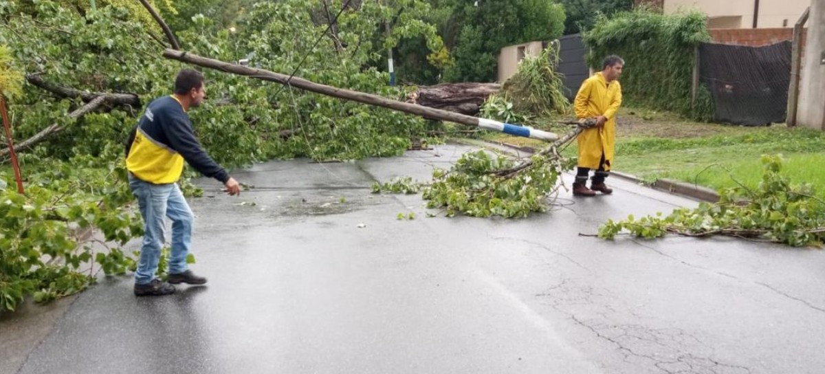 En La Plata, la cantidad de agua acumulada por las lluvias alcanzó los 198 mm y no hay evacuaciones