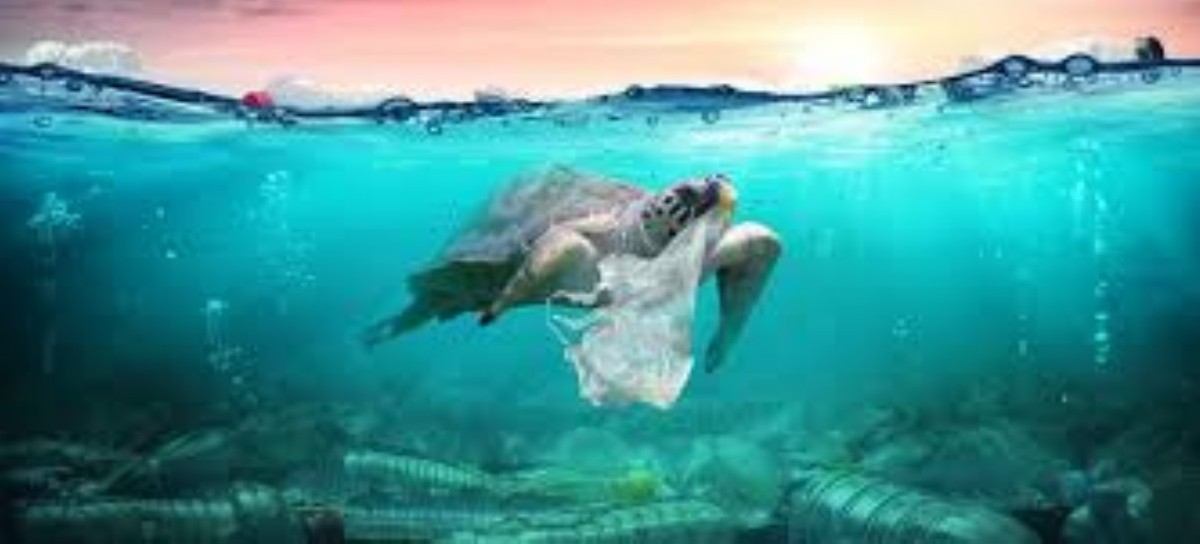 Día Mundial de los Océanos: el problema de la contaminación por plásticos necesita acciones urgentes