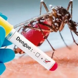 Dengue: falleció una persona en La Plata