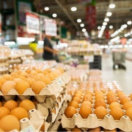 Supermercados bajo la lupa: qué revelan las políticas de las principales cadenas de Argentina