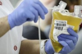 Donación de plasma o sangre: no son impedimentos la identidad de género u orientación sexual