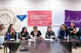 Diputados impulsan proyecto para regularizar actividades de acompañantes terapéuticos