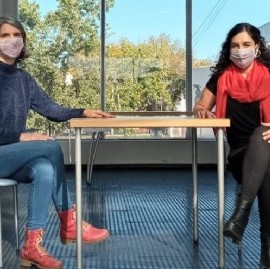 Con un modelo matemático, analizan posibles escenarios de infección asociada entre Dengue y COVID-19