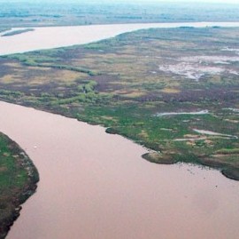 El Gobierno bonaerense declaró la emergencia ambiental en la zona del Delta del Río Paraná