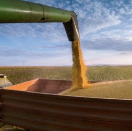 Por créditos subsidiados, el campo recibió unos 357.000 millones de pesos