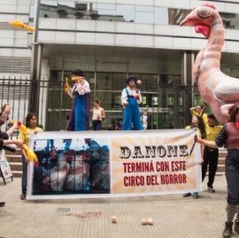"Circo Del Horror", la realización de activistas para pedir medidas contra el maltrato animal