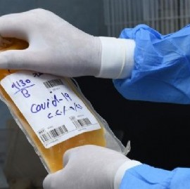 Plasma convaleciente: el tratamiento pionero en la Provincia sigue mostrando efectividad en el mundo