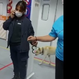 Papelón de efectivos policiales en una sala sanitaria de Almirante Brown: esposaron a una enfermera