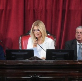 La Ley de Alcohol Cero pasó sin sobresaltos en el Senado bonaerense y ahora define Diputados