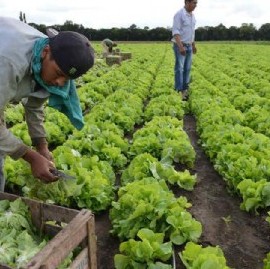 Presentaron una guía sobre el cooperativismo agropecuario en la provincia de Buenos Aires