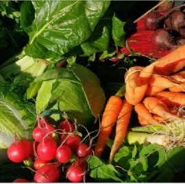 La Provincia comprará 24 mil kits de verdura agroecológica para asistir a familias vulnerables