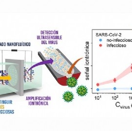 CONICET La Plata desarrolló un novedoso test rápido de detección de COVID-19