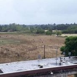 Toma de terrenos: bombas "molotov", detenidos y cruces entre la Provincia y el Municipio