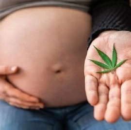 La Defensoría del Pueblo bonaerense, a favor de "Marihuana Cero" durante el embarazo y la lactancia