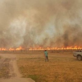 En La Plata y Berisso suman donaciones para los afectados por los incendios en Corrientes