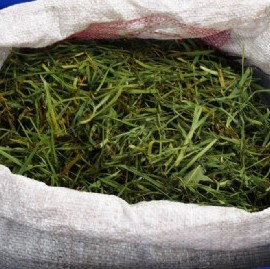 Una campaña presentada en Berisso impulsa la utilización del pasto como recurso productivo