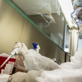 El Coronavirus y un leve respiro: confirmaron 347 muertes y 16.415 contagios en las últimas 24 horas