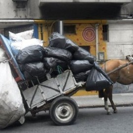 Caballos robados en La Plata: según una ONG, es "un negocio similar al del tráfico de drogas"