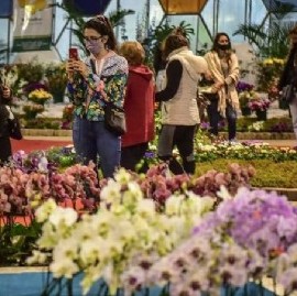 Escobar: según los organizadores, la Fiesta Nacional de la Flor fue un verdadero éxito