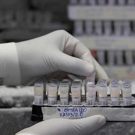 18-11-2020 // Coronavirus: el Gobierno nacional confirmó 241 muertes y 10.621 nuevos contagios