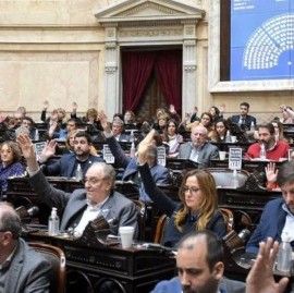 Diputadas y diputados nacionales del Frente de Todos repudiaron expresiones golpistas