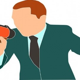 Análisis Político II